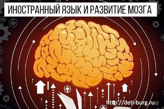 Иностранные языки и развитие мозга